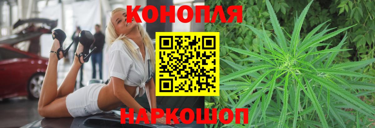 Марихуана семена  Вход с VPN  Чернушка  Шишки марихуана планчик  Канабис конопля 